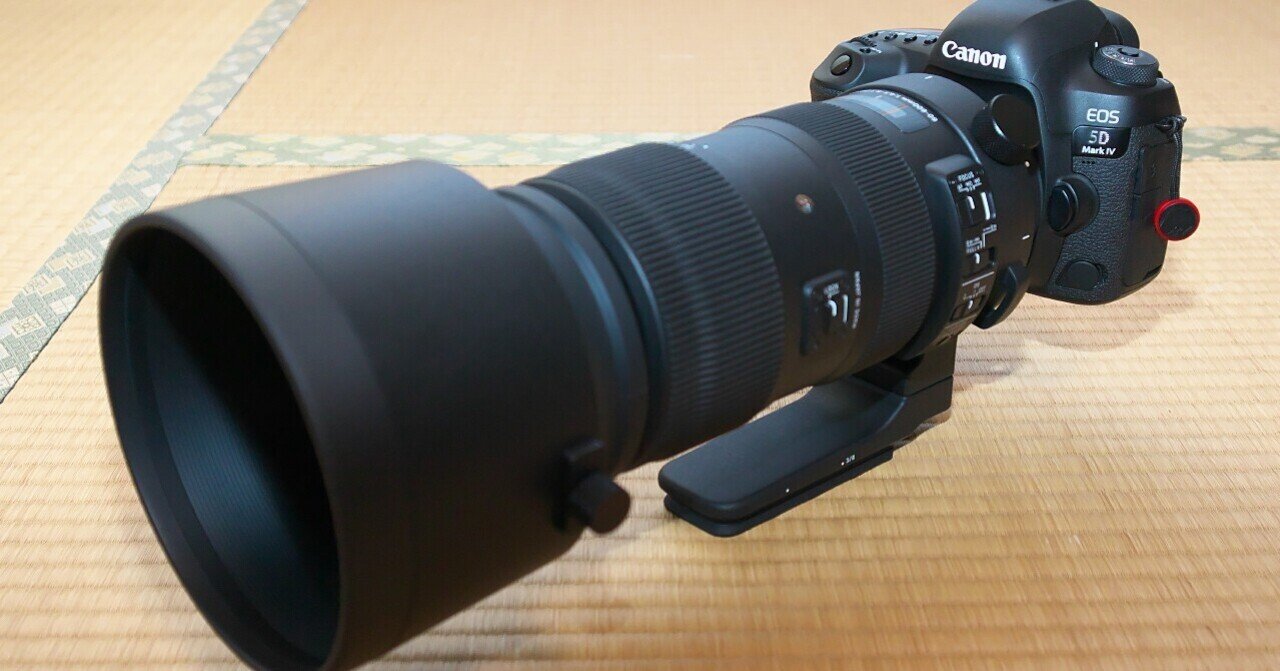 SIGMA シグマ150-500mm Canonキャノン 超望遠レンズ シグマ150-500望遠レンズ キャノン 用 エクステンダー付き