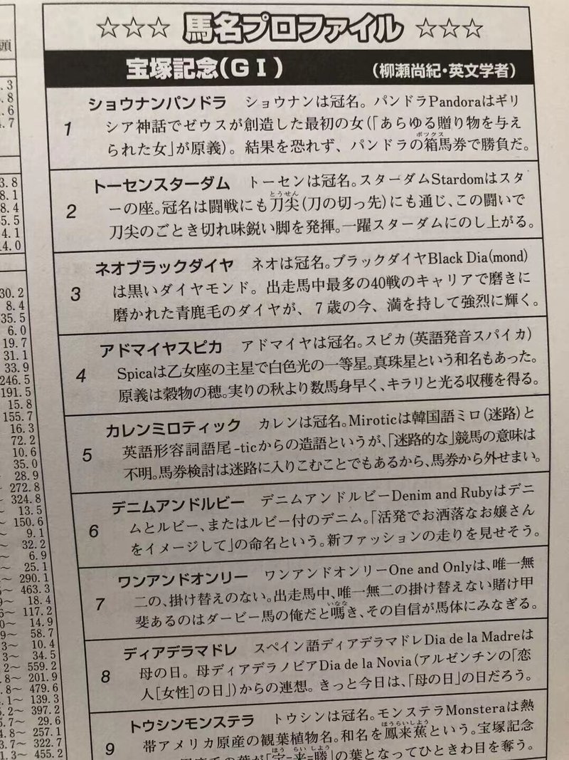 知性とゆるさの狭間で 猫と馬の居る書斎 柳瀬尚紀 を読んで 稲庭うどん Note