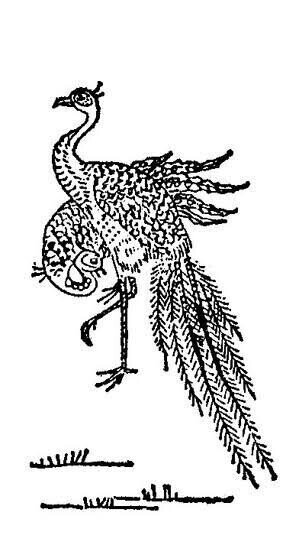 第1652回 架空の鳥 ⑶|翆野 大地 第1652回 架空の鳥 ⑶|翆野 大地