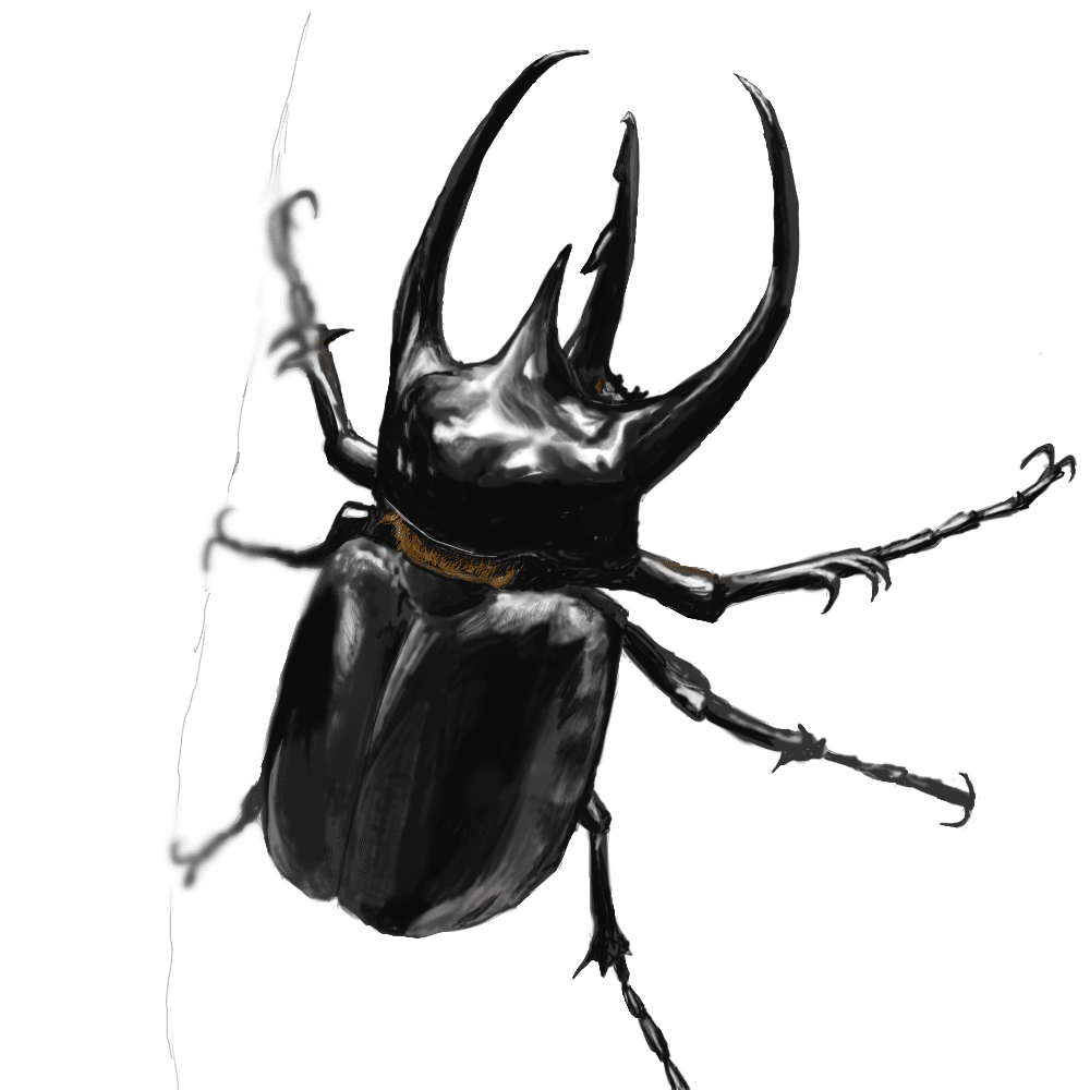 iPadが我が家に来たのでコーカサスオオカブトのイラストを描いてみた