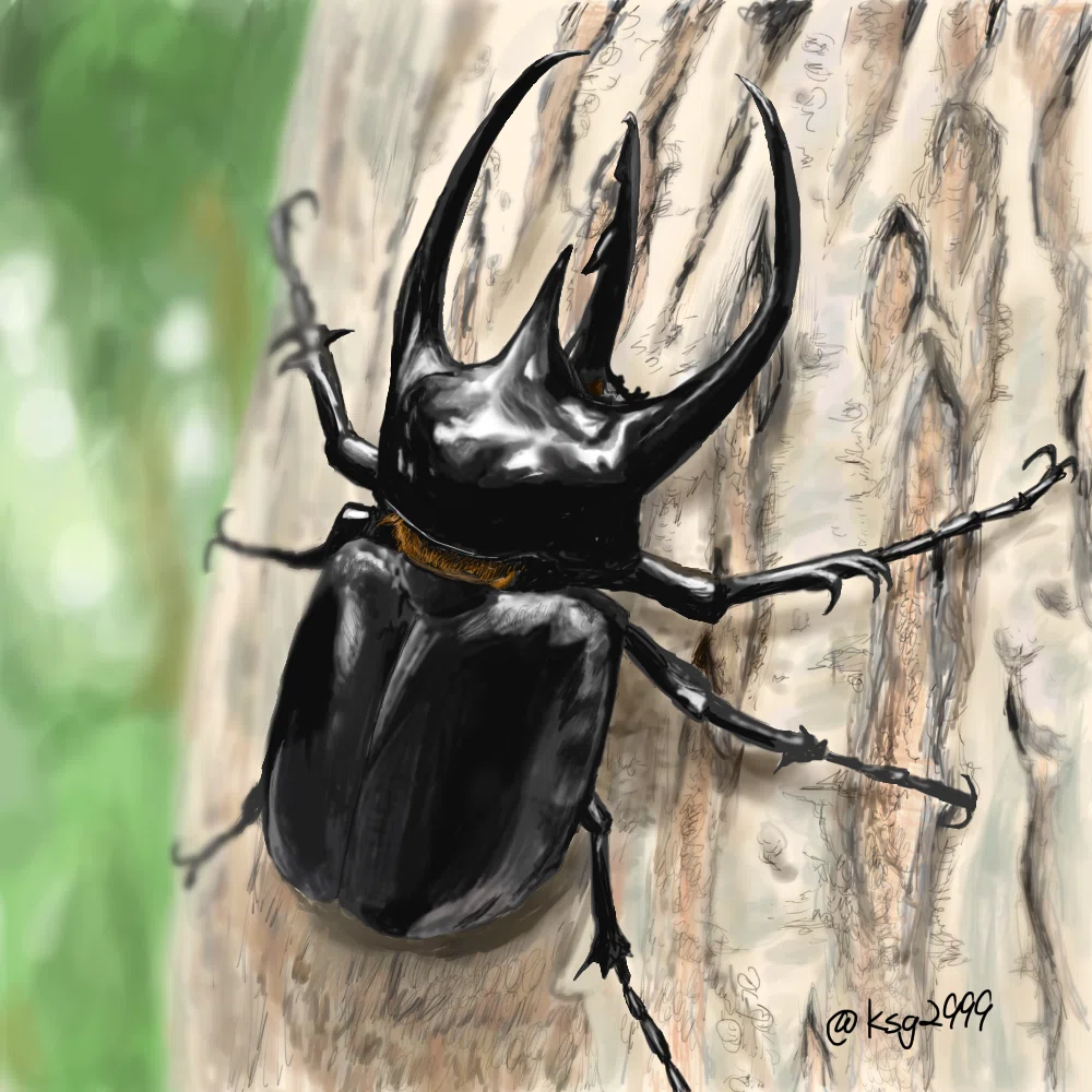 iPadが我が家に来たのでコーカサスオオカブトのイラストを描いてみた