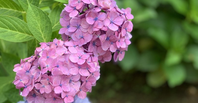 ピーター ターチン 国家興亡の方程式 むりやり読んだ はむっち ケンブリッジ英検 Note