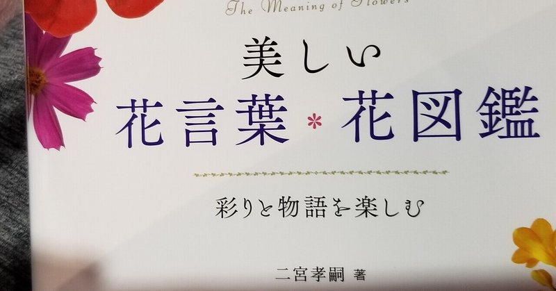 18歳男子大学生 花に興味が湧いてきました Kenshin 今宵も生きる眼鏡男子 Note