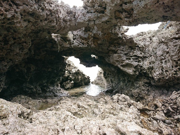 琉球石灰岩の磯。波に削られて複雑なトンネルになっている。