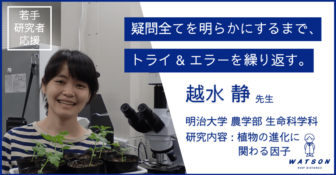 疑問全てを明らかにするまで トライ エラーを繰り返す 明治大学 越水 静 先生 ワトソン株式会社 深江化成株式会社 若手研究者を応援するnote Note