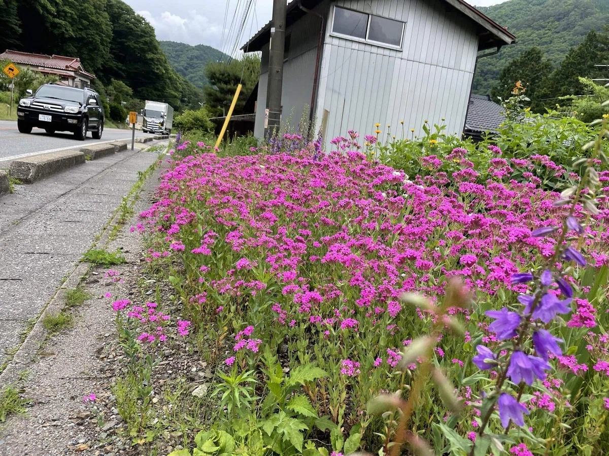 画像24
