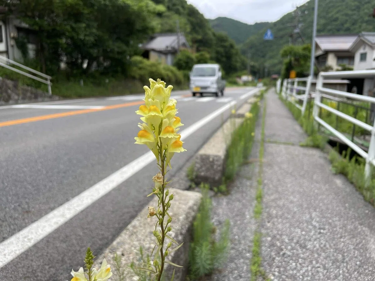 画像25