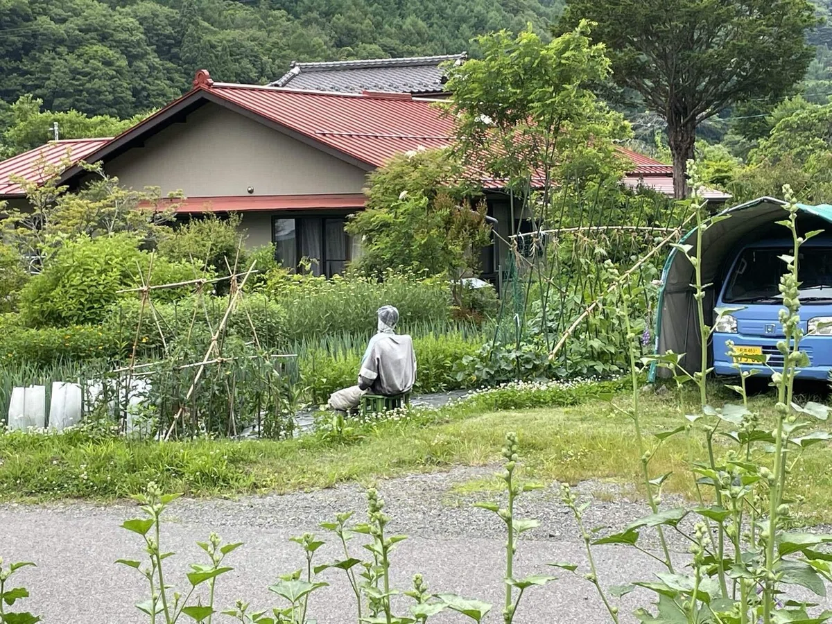 画像26