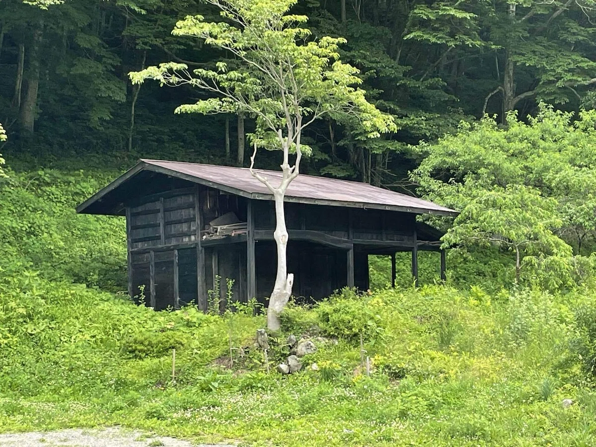画像27