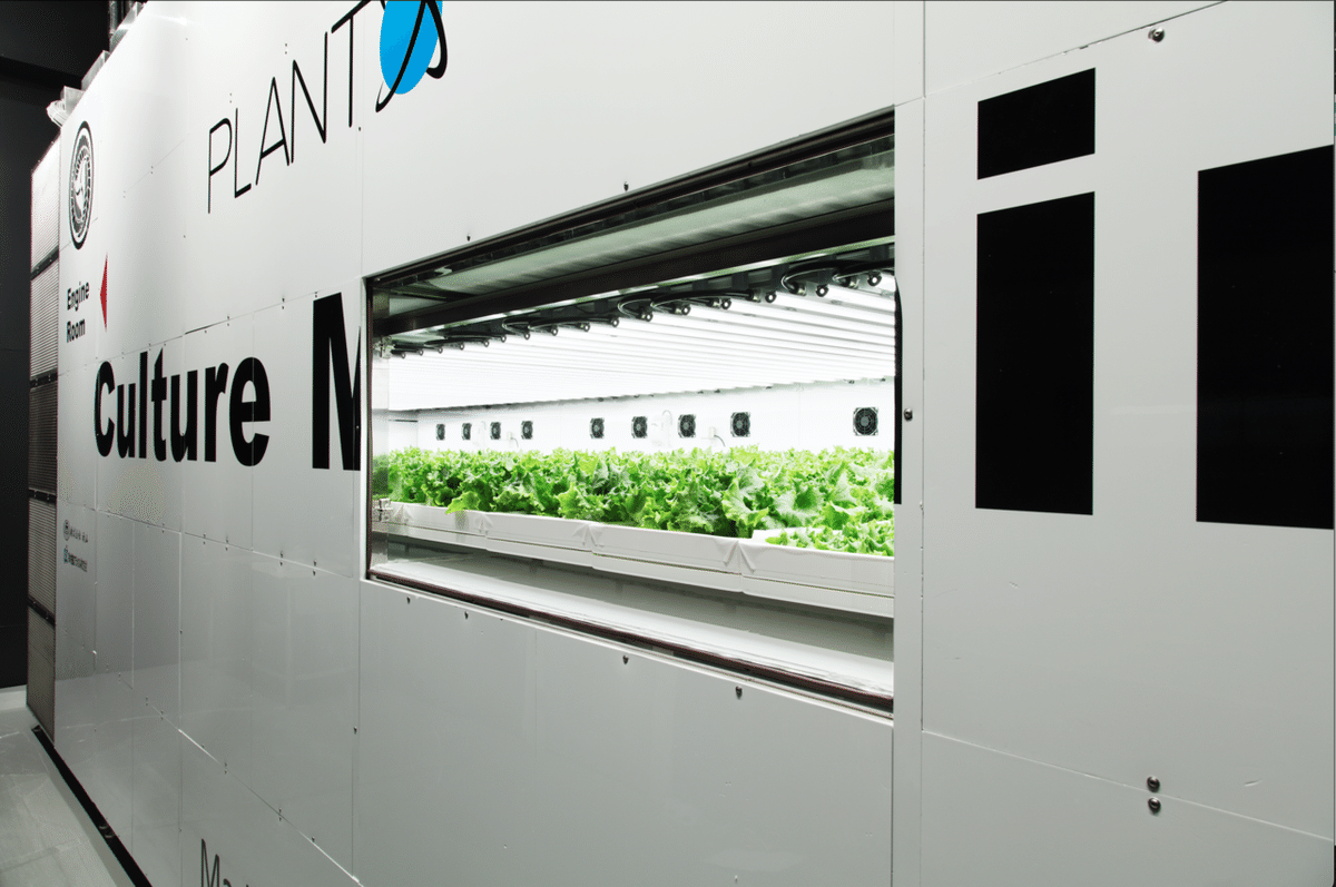 プランテックス植物工場