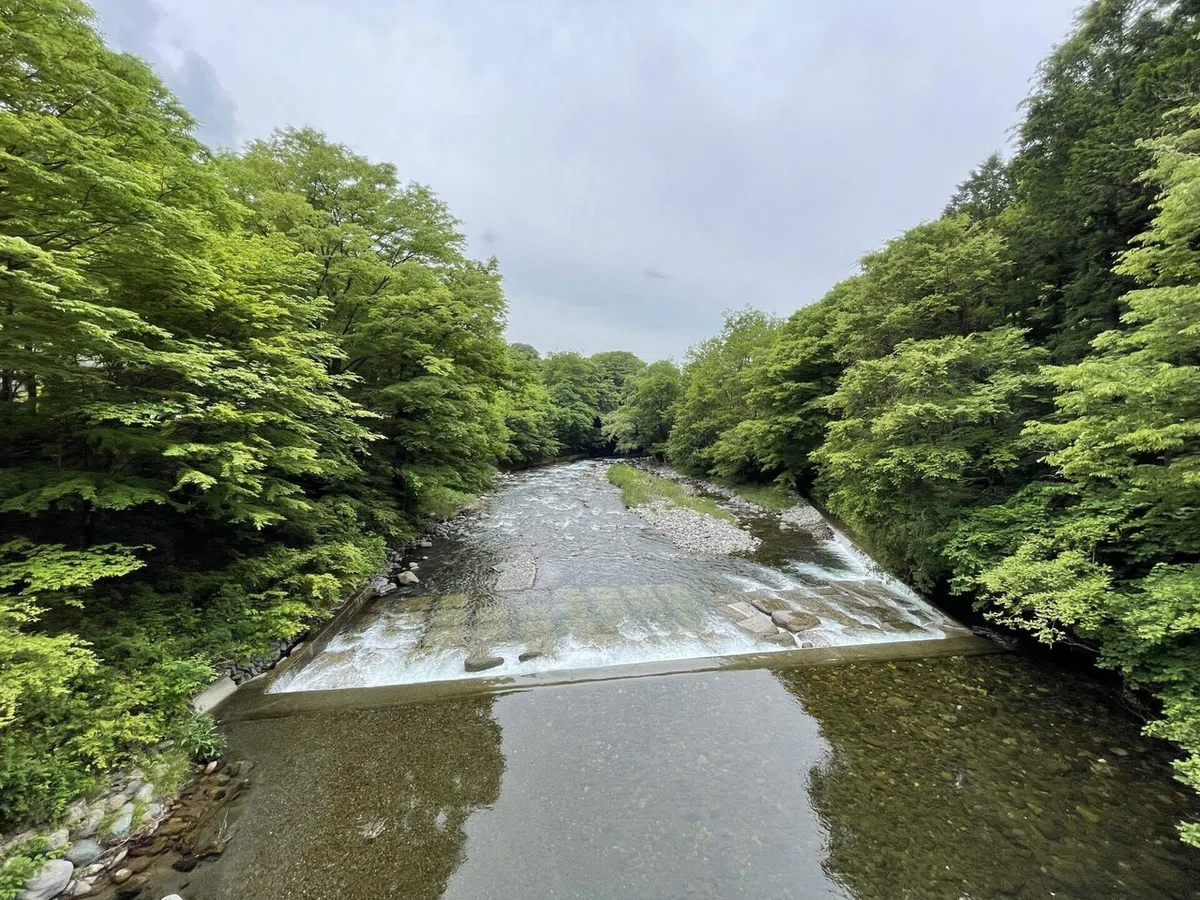 画像37
