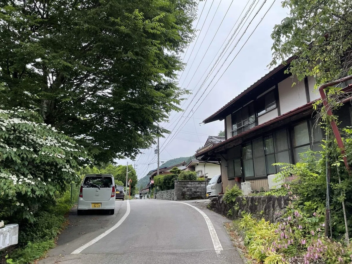 画像41