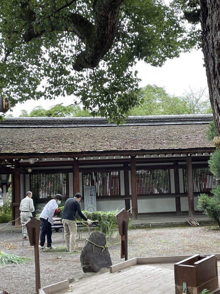 茅の輪、制作中。6月27日、京都平野神社。茅の輪くぐりは、毎年6月30日に行われるのが一般的だ。この日は、1年の半分が過ぎた6月の晦日（みそか）にあたり、「夏越の祓（なごしのはらえ）」と呼ばれている。6月の晦日に行われる「夏越の祓」は、12月の大晦日である31日に行われる「年越の祓」と対になる神事で、夏越の祓と年越の祓の2つを合わせて「大祓（おおはらえ）」と言う。どちらも災厄を祓い清める儀式。