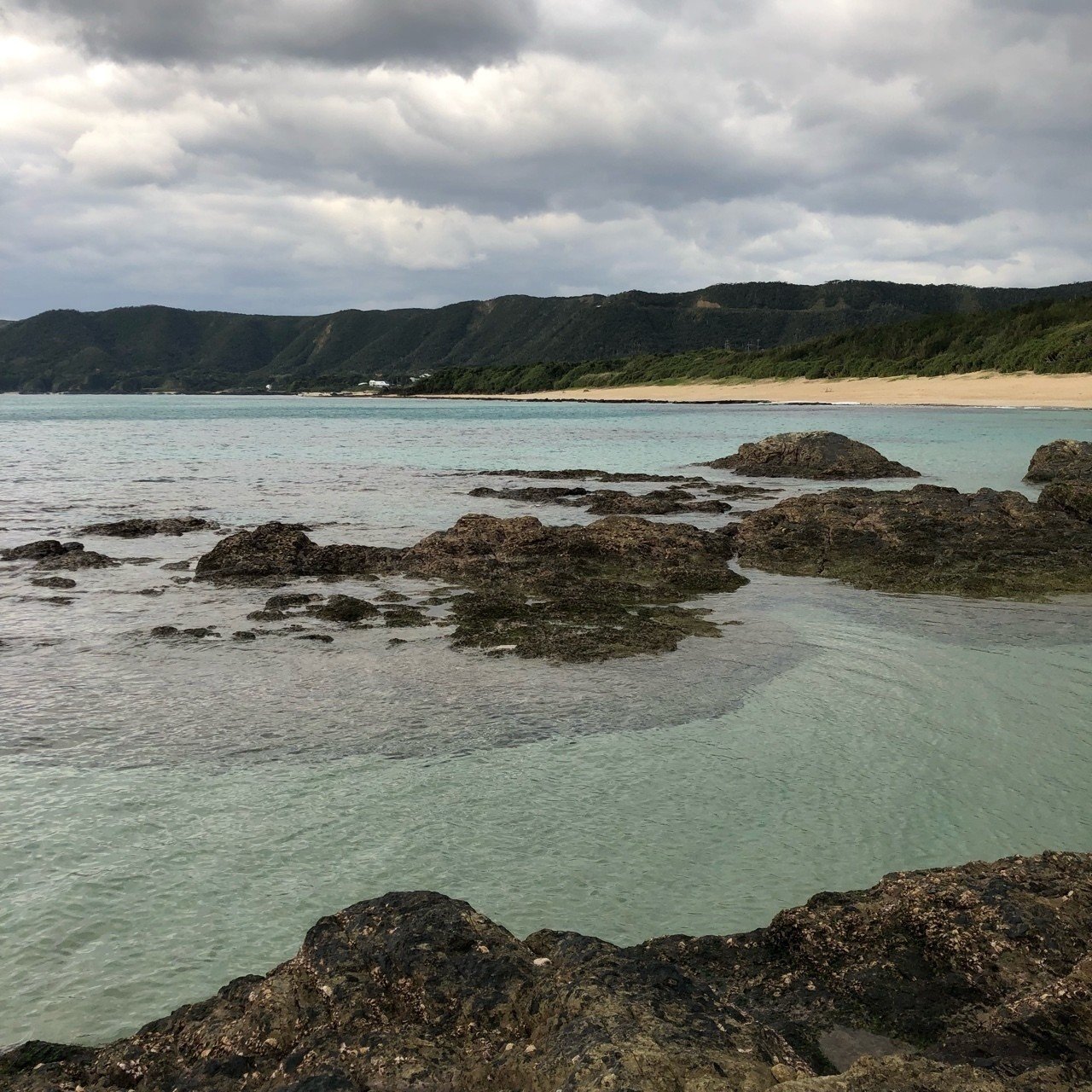 奄美大島ひとり旅レンタカーなし 前編 Yuukee Note