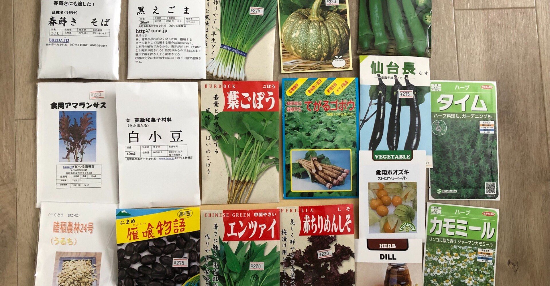 野菜の病気が心配だが固定種の力を信じてみることにした 永井冬星 Note 野菜の病気が心配だが固定種の力を信じてみることにした 永井冬星 Note