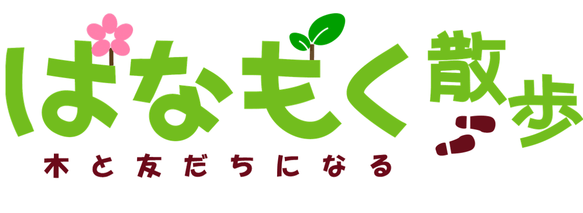 60年に一度の奇跡 笹の花 竹の花 木と生き物観察記録 はなもく散歩 Note