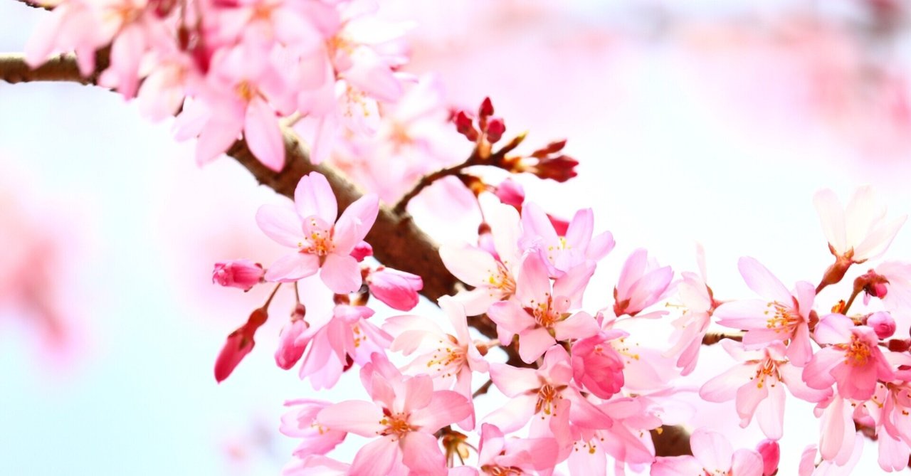 ドラゴン桜、最終回｜ゆず｜note