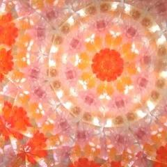 我が家に届いたメイド・イン・ジャパン｜ぽんまる