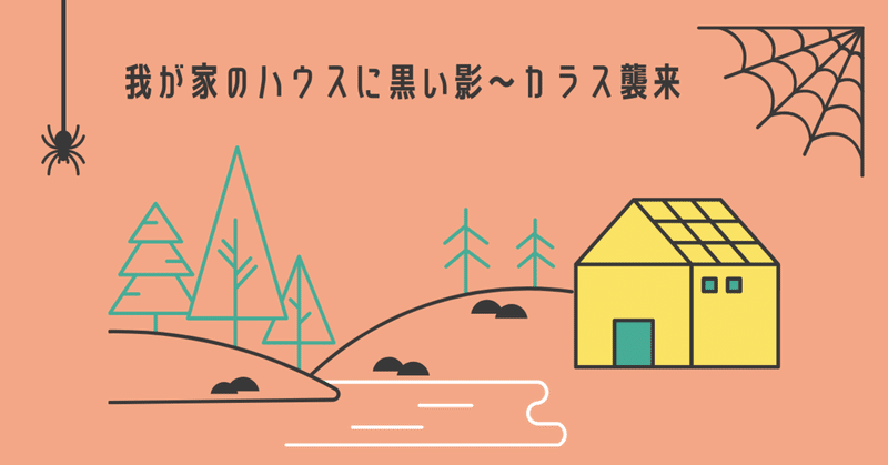 我が家のハウスに黒い影〜カラス襲来