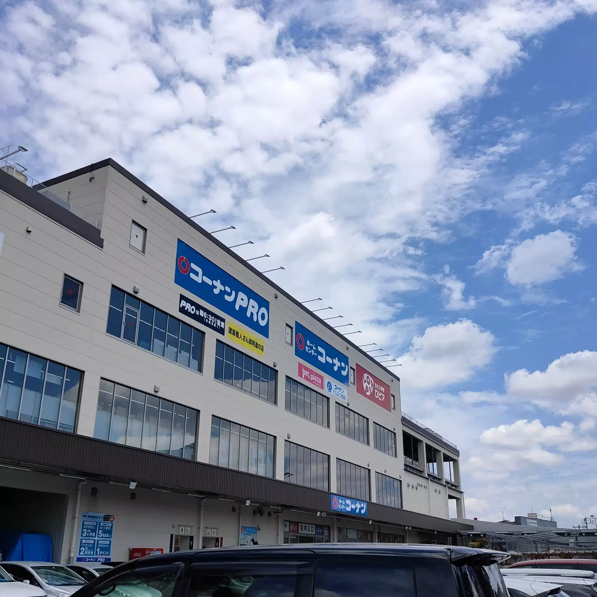 麦酒派野郎
