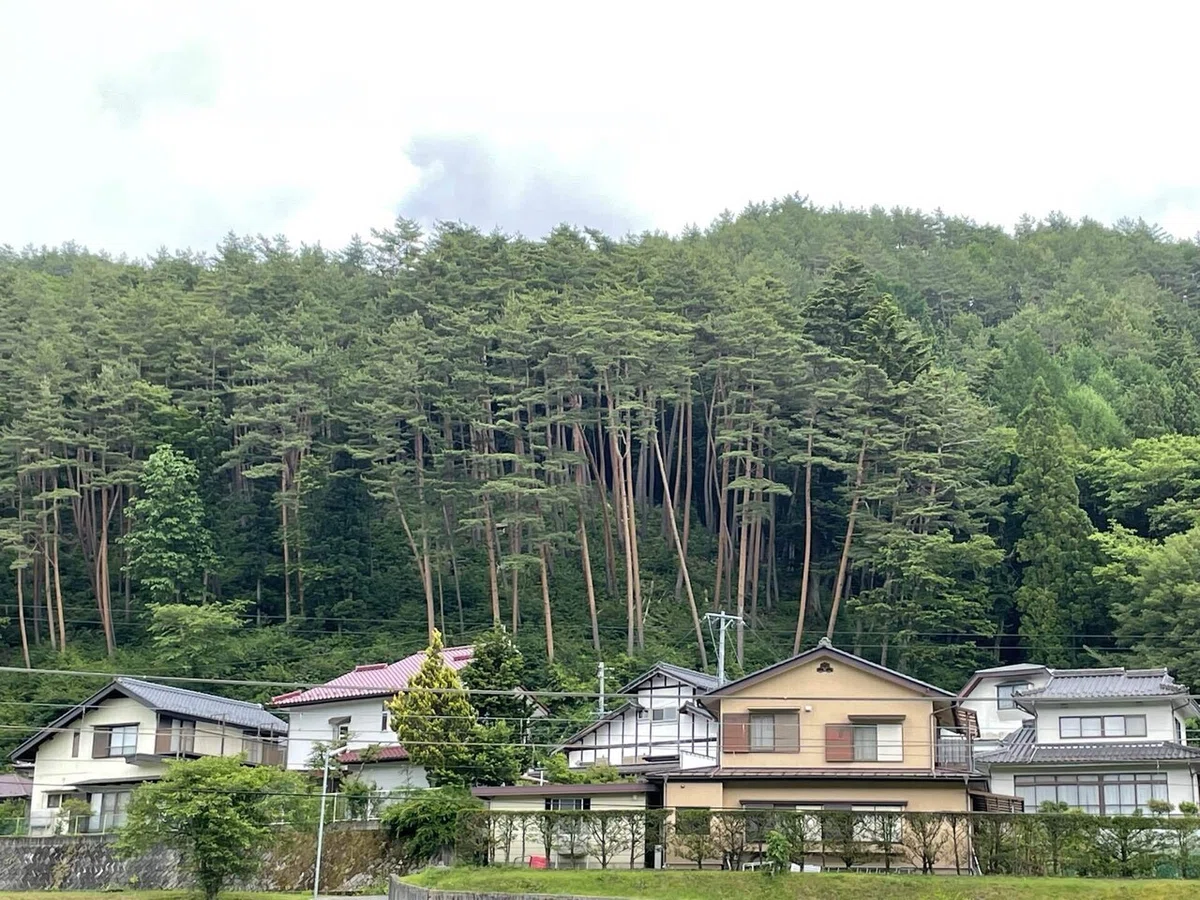 画像88
