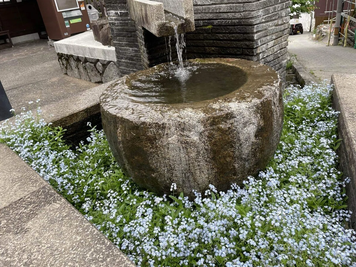 画像124