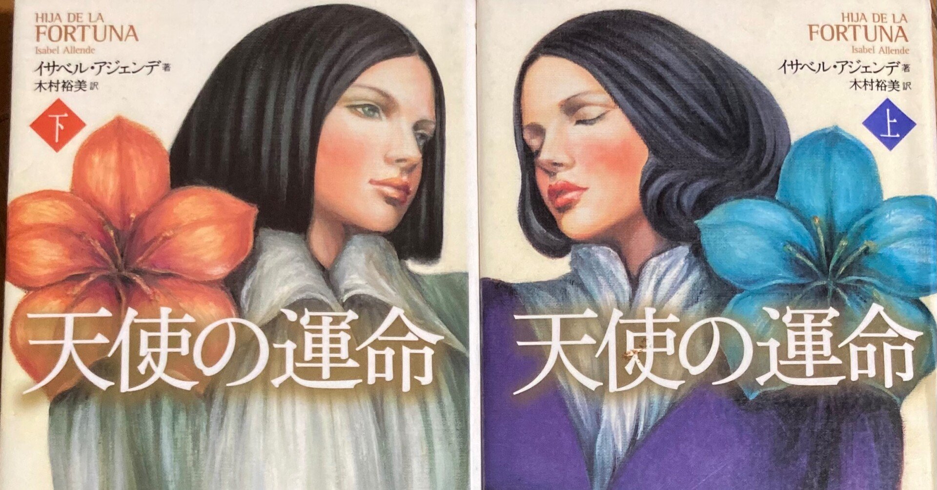 本 211 天使の運命 上 下 イザベラ アジェンテ著を読んで みから 未絡 Micara Note 本 211 天使の運命 上 下 イザベラ アジェンテ著を読んで みから 未絡 Micara Note