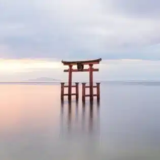 開運天使