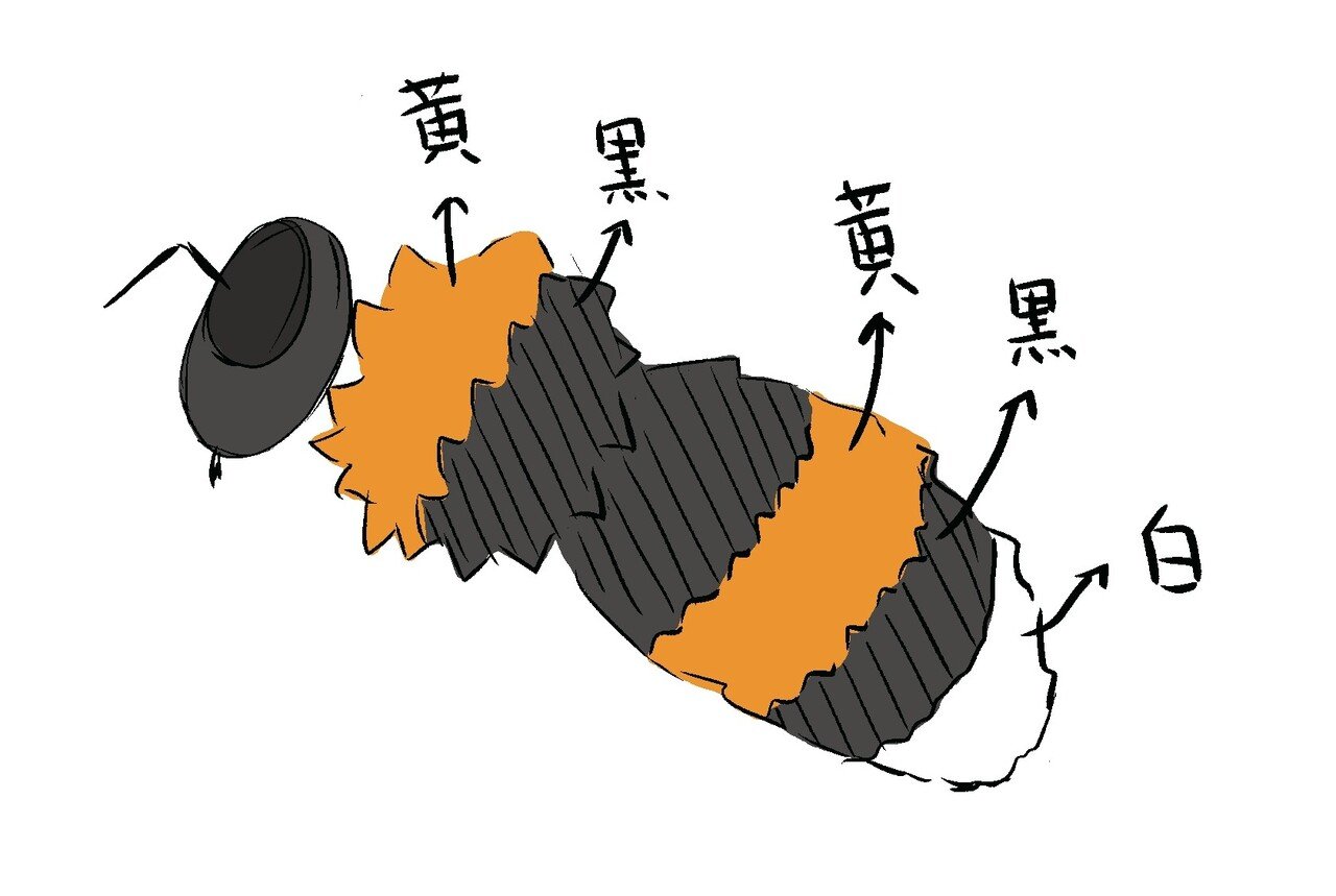 セイヨウ