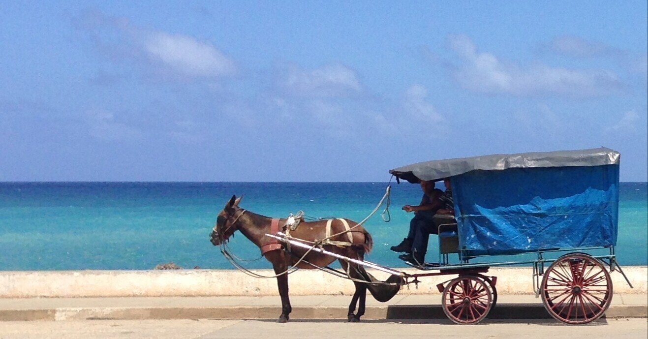 カリブ海の大きな壷