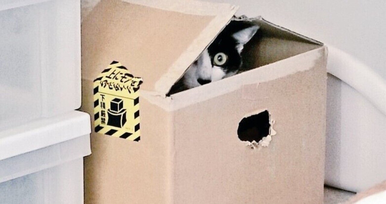 保健委員だった頃の日記 萩原 Note