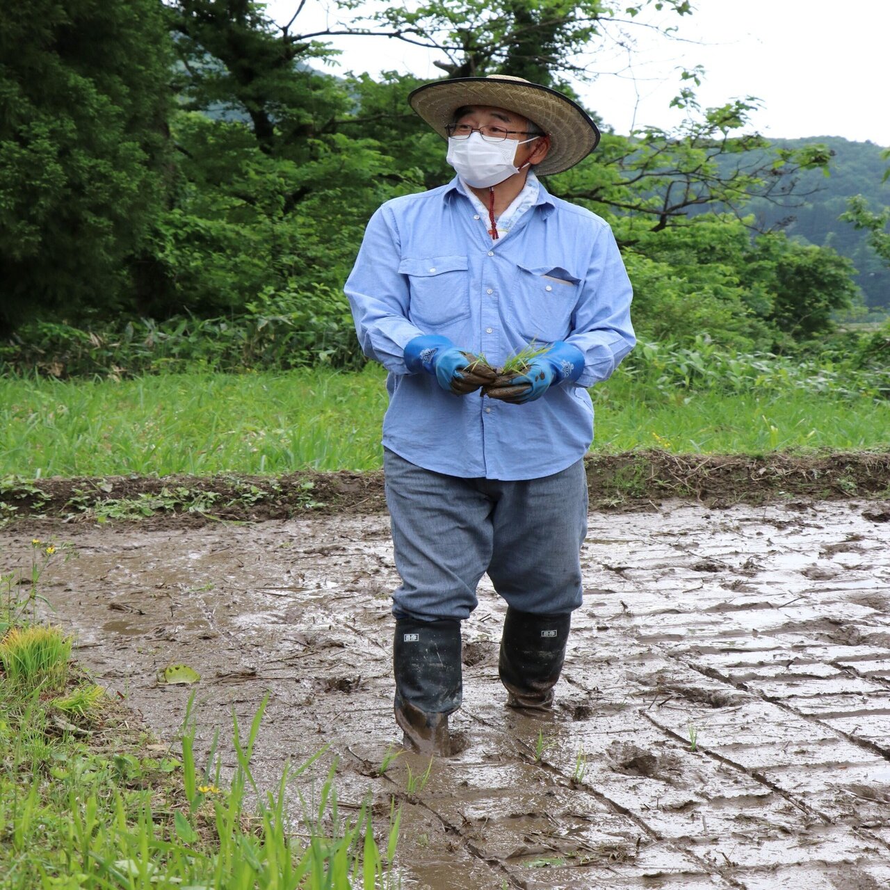 農業とイラストで地域おこし 移住定住支援サイト 三条で暮らす 三条市公式