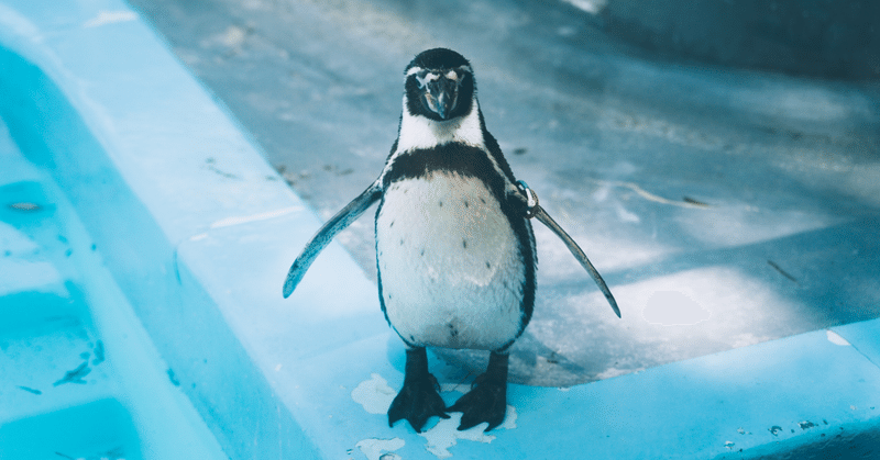 【ファーストペンギン】最初に飛びこむ1羽の勇敢なペンギンに、最大限のリスペクトを。