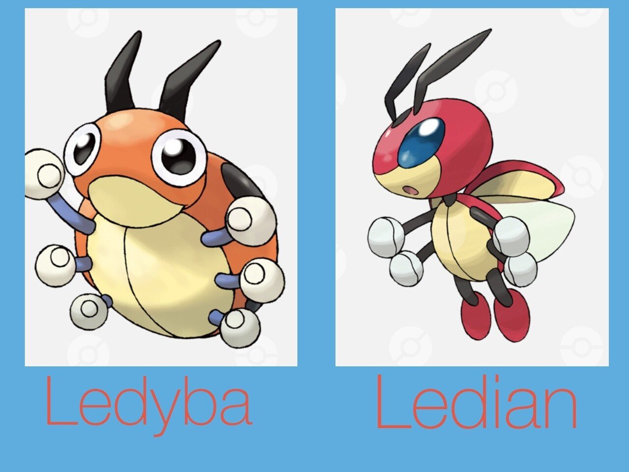 ポケモンの英語名全部覚える日記 第2世代前編 リユルン Note