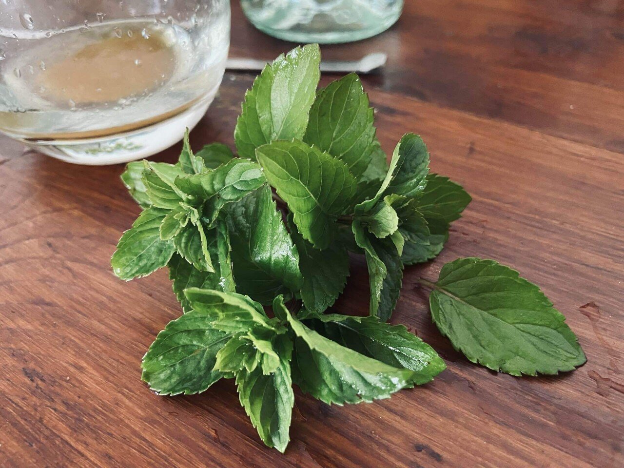 ミントはしっかり収穫 ミントを大量消費する方法 飲み物 食べ物編 ころのにわ 自然菜園 Note