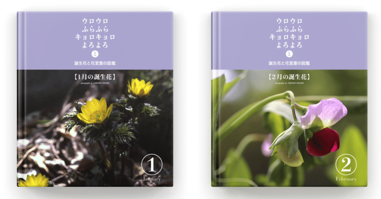 誕生花と花言葉の図鑑 の新着タグ記事一覧 Note つくる つながる とどける