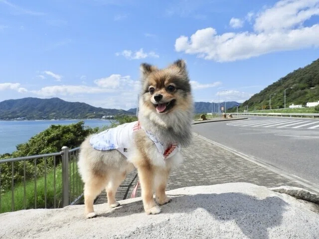 画像2