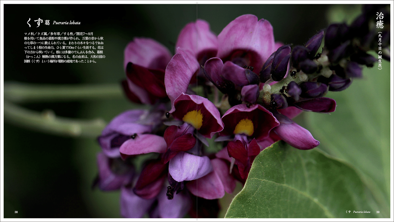 8月 Note に投稿中の草 花 木の電子書籍 Taku Note
