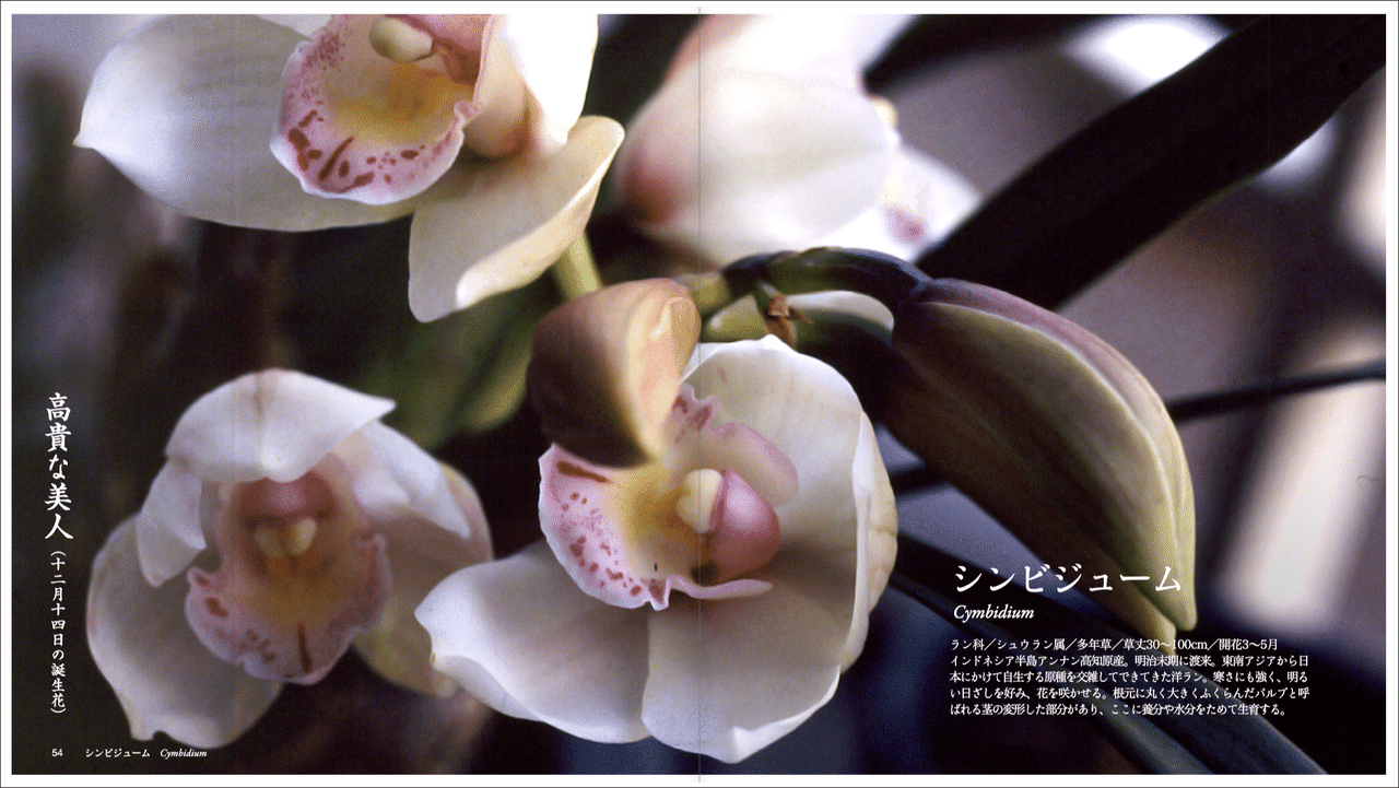 12月 Note に投稿中の草 花 木の電子書籍の紹介 Taku Note