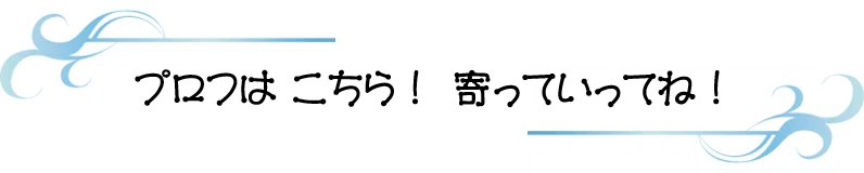 プロフ