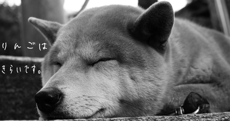 Androidアプリ Chromebookで使えるアプリを紹介していく柴犬 タイピングの神様編 芸者零式 Note Androidアプリ Chromebookで使えるアプリを紹介していく柴犬 タイピングの神様編 芸者零式 Note