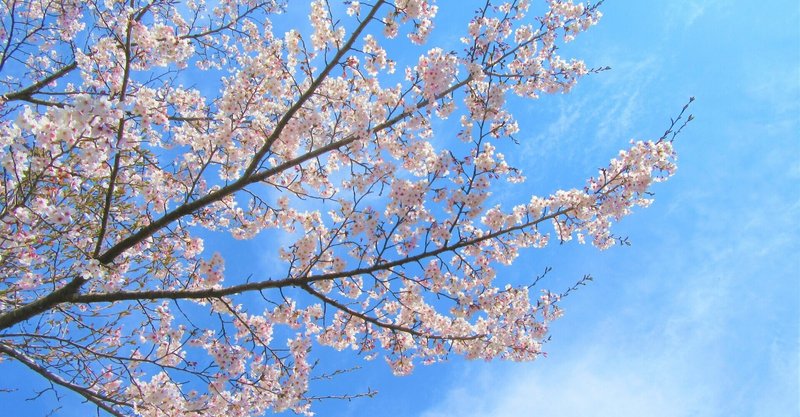 ドラゴン桜2で印象に残った 要約力 の話 Yoshiya Note ドラゴン桜2で印象に残った 要約力 の話 Yoshiya Note