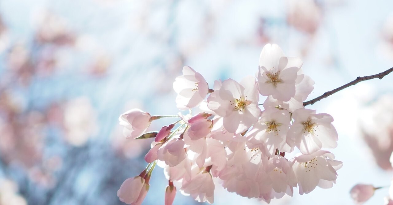 「ドラゴン桜」10話(最終話)。出会えたことが強運であり奇跡 ...