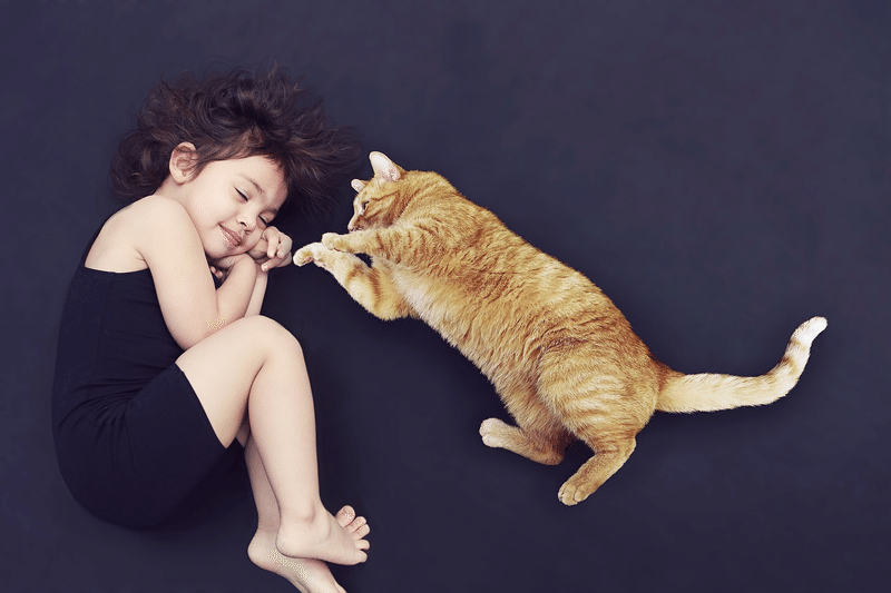 子供 ねこ ねる