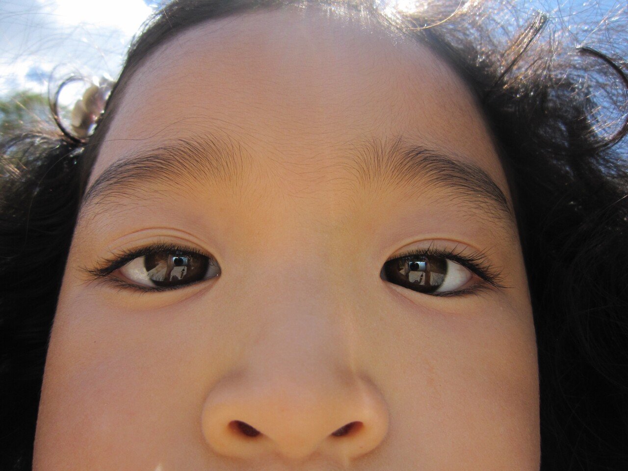 【作例あり】Canon IXY digital 930is CCDセンサー CCDセンサーのCANON IXY DEGITAL 930 ISを使ってみた｜MOJA MOJA