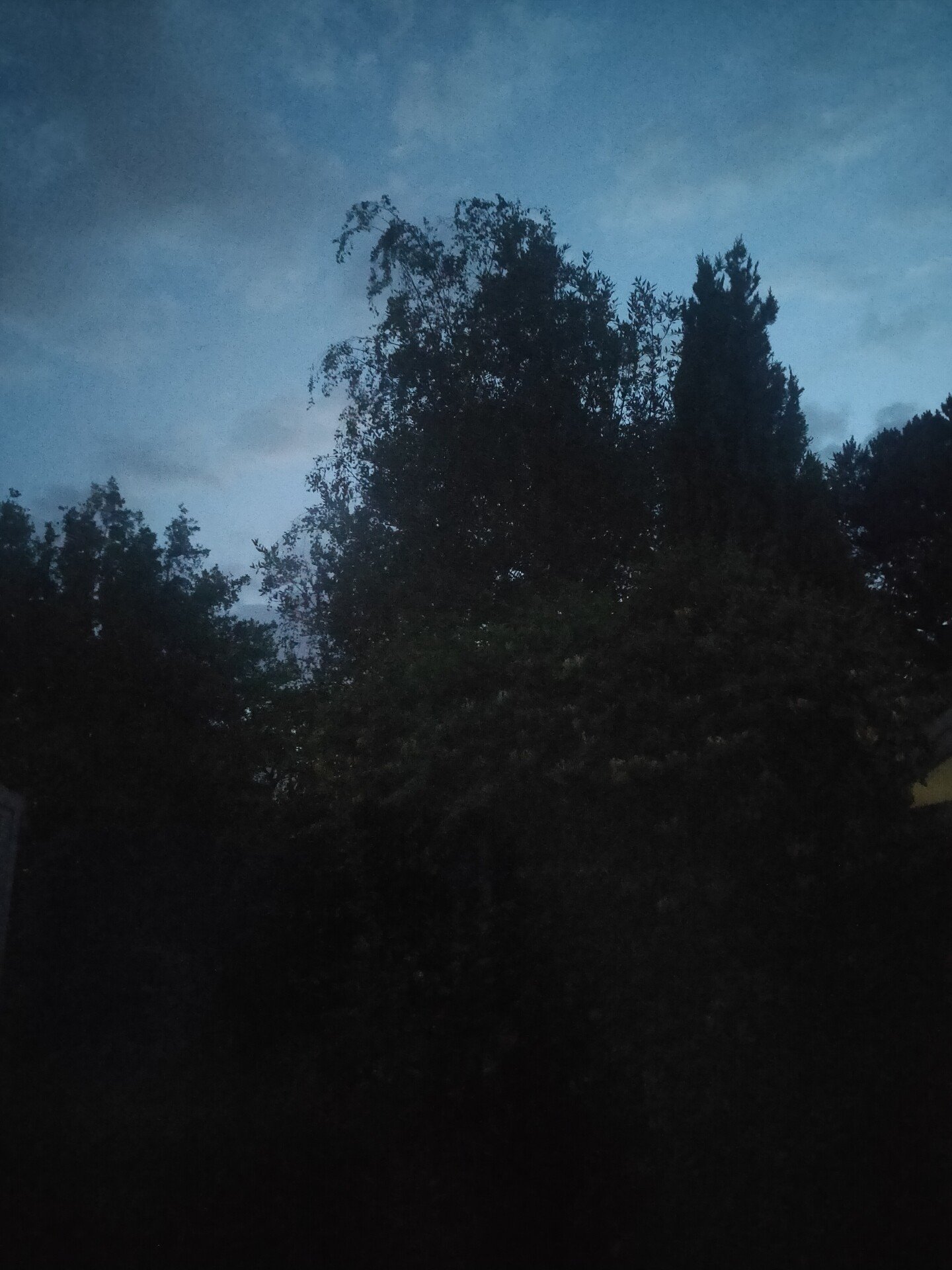 沼に溺れている今 カリアゲしょうこ Note