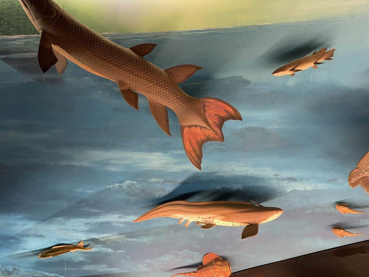 アクアマリン 金魚 3点セット アクアマリンふくしま 金魚館② - すくい金魚