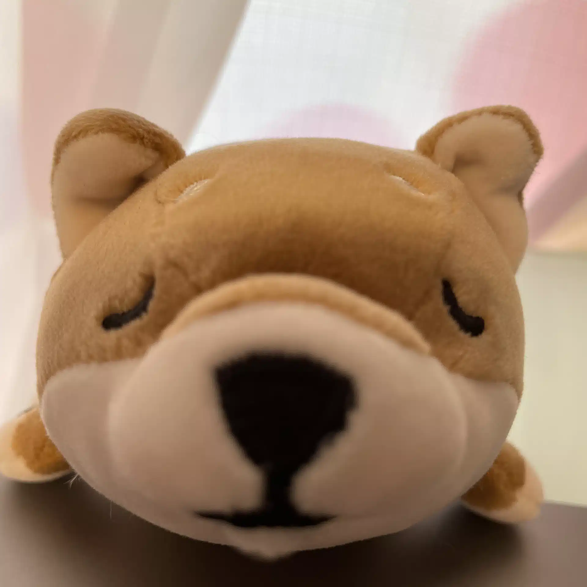 とんとん