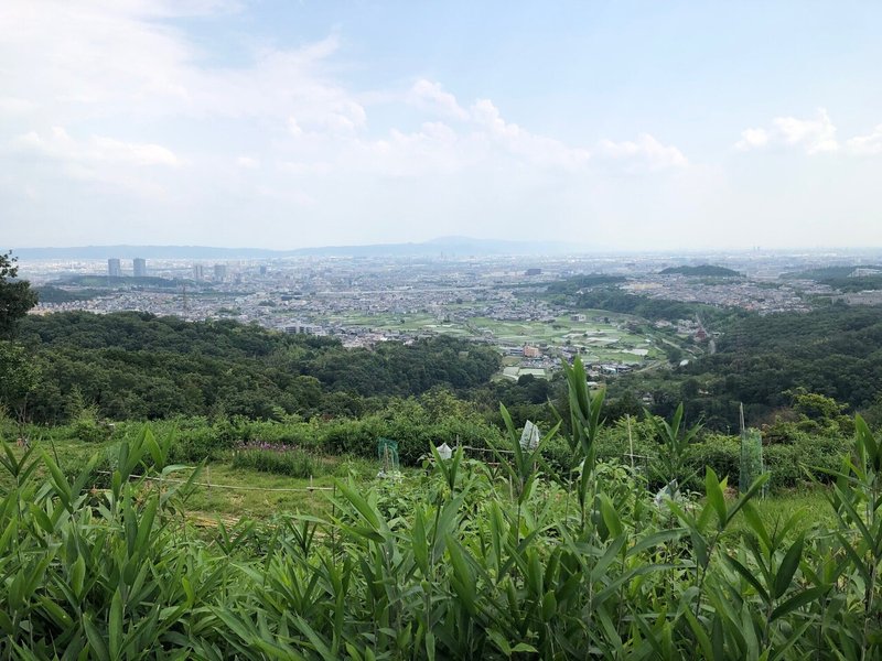 三好山山頂の眺め