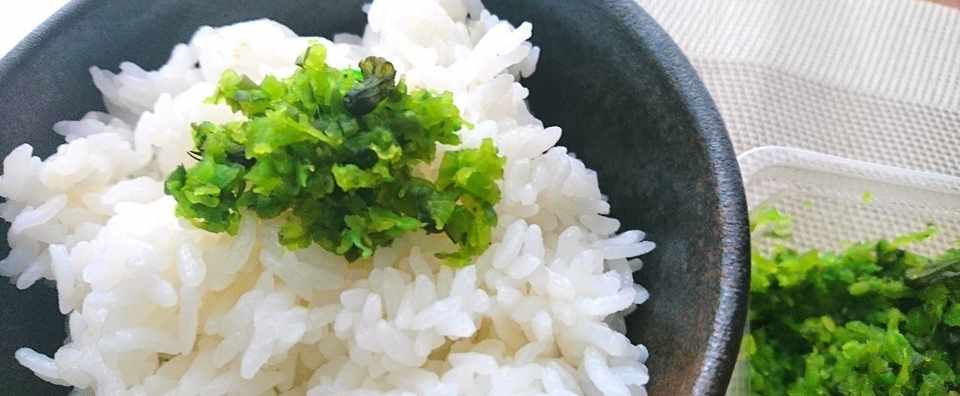 本当におすすめできる ごはんのおとも 爽やかな辛味があとをひく 青しその実漬 Ayatakubo Note